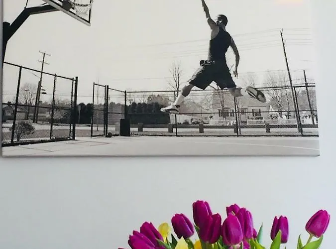 Marcelin Appartement